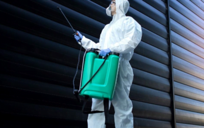 Dératisation : Sécurité et précautions essentielles lors d’une Intervention