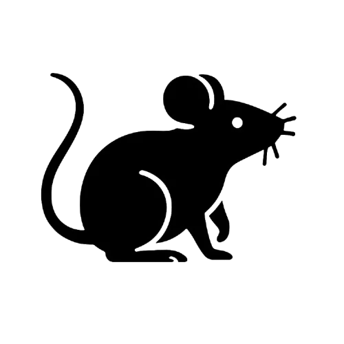 Souris