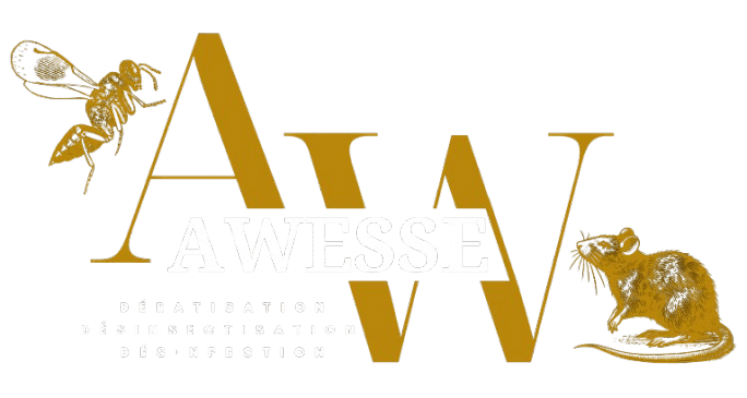 Awesse Logo