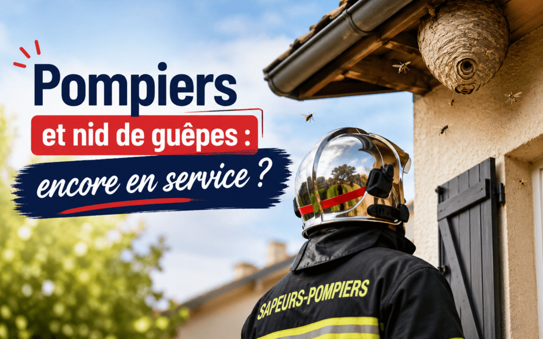 Pompiers et nid de guêpes : encore en service ?