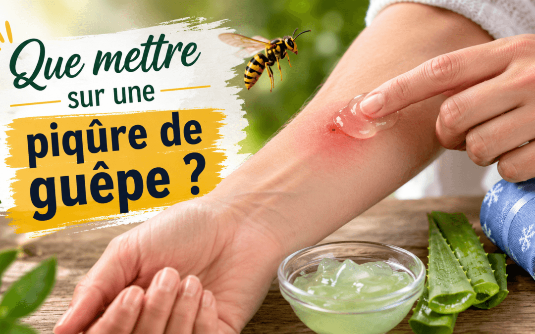 Que mettre sur une piqûre de guêpe pour la soulager ?