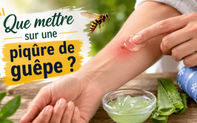 Que mettre sur une piqûre de guêpe ?