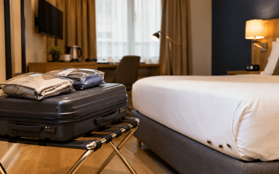 Punaises de lit et voyage : protéger sa valise